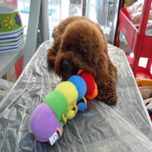 
Cute caterpillar plush toys, pet toys with ringing, colorful toys, cat and dog dolls, toys