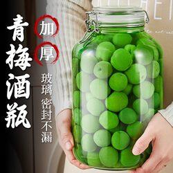 Special Glass Bottles for Infusing Alcohol, Sealed Jars for Green Plums and Strawberries, Wine Containers, Homemade Fruit Wine Empty Bottles, Food Grade