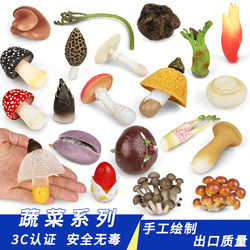 Children's Toys, Simulated Plant Models, Vegetables, Mushrooms, Early Education Cognitive Teaching Aids, Mushroom, Shiitake, Fruit Scene Decorations