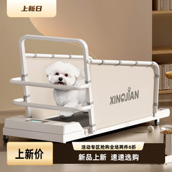 Dog Treadmill, Cat Treadmill, Bichon, Teddy, Corgi Pet Treadmill, Small and Medium-Sized Dog Walking Machine
