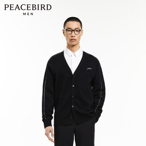 Peacebird Men's Clothing Casual Sweater Slim Embroidered Woman Cardigan Autumn Fashion Woman Pullover Men's Sweater