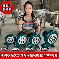 Special Blower for Wood Stoves, Adjustable Speed, 12V Small Electric 220V Ac/Dc Blower