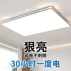 Living Room Main Light 2025 New Style Elegant Simple Modern Led Ceiling Light for Home Dining Room and Bedroom Lighting Zhongshan Lighting Fixtures