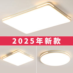 High-End Living Room Chandelier, Hall Master Bedroom Ceiling Light Fixture, Modern Simple and Elegant 2025 New Model Zhongshan