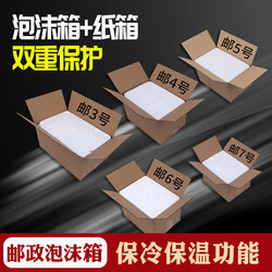 Refrigerated Preservation Box with Foam and Cardboard, Postal Foam Box for Express Delivery, Set of 2, Size 4 Foam Box with Cardboard