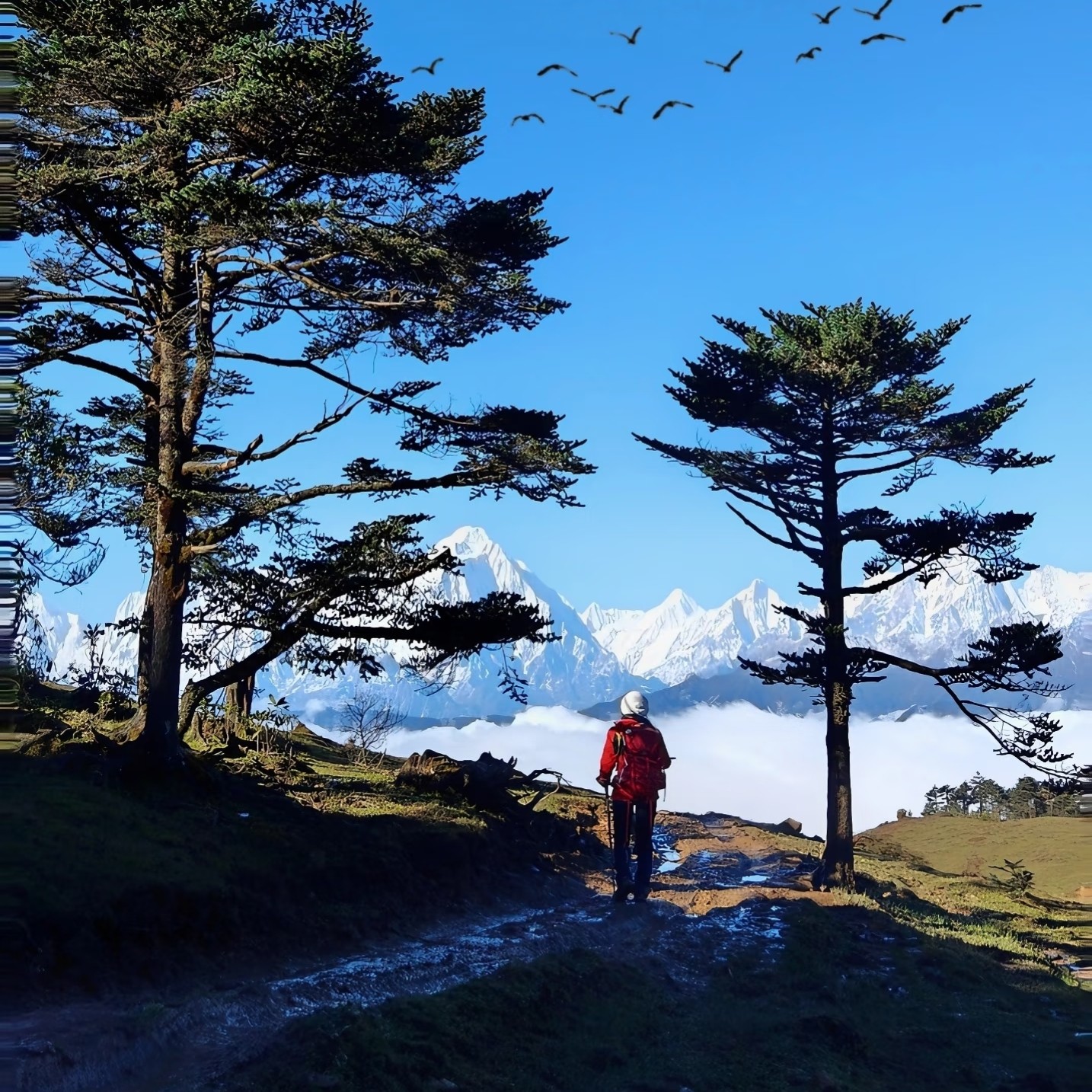川西旅游成都周边2日游华尖山日出云海日落星空日照金山2日游