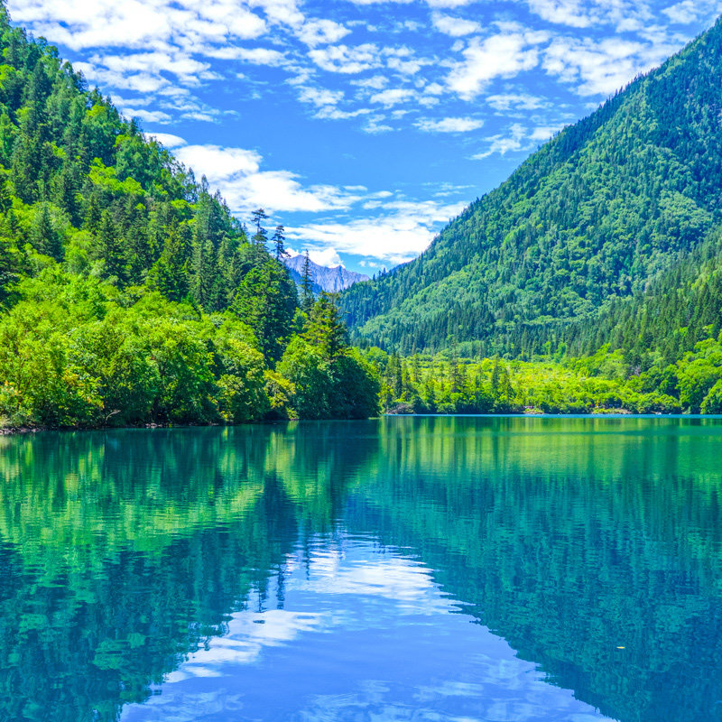 九寨沟4日游毕棚沟四姑娘山达古冰川都江堰三星堆纯玩旅游跟团