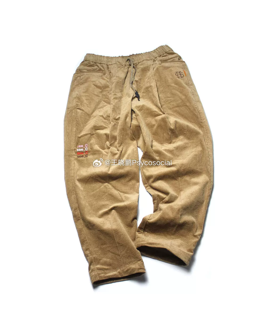 SEESEE x eye_C CORDUROY WIDE TAPERED EASY PANTS灯芯绒休闲裤-Taobao