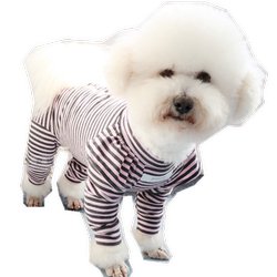 Dog Anban pet clothing Feifei sleeves four-legged clothing