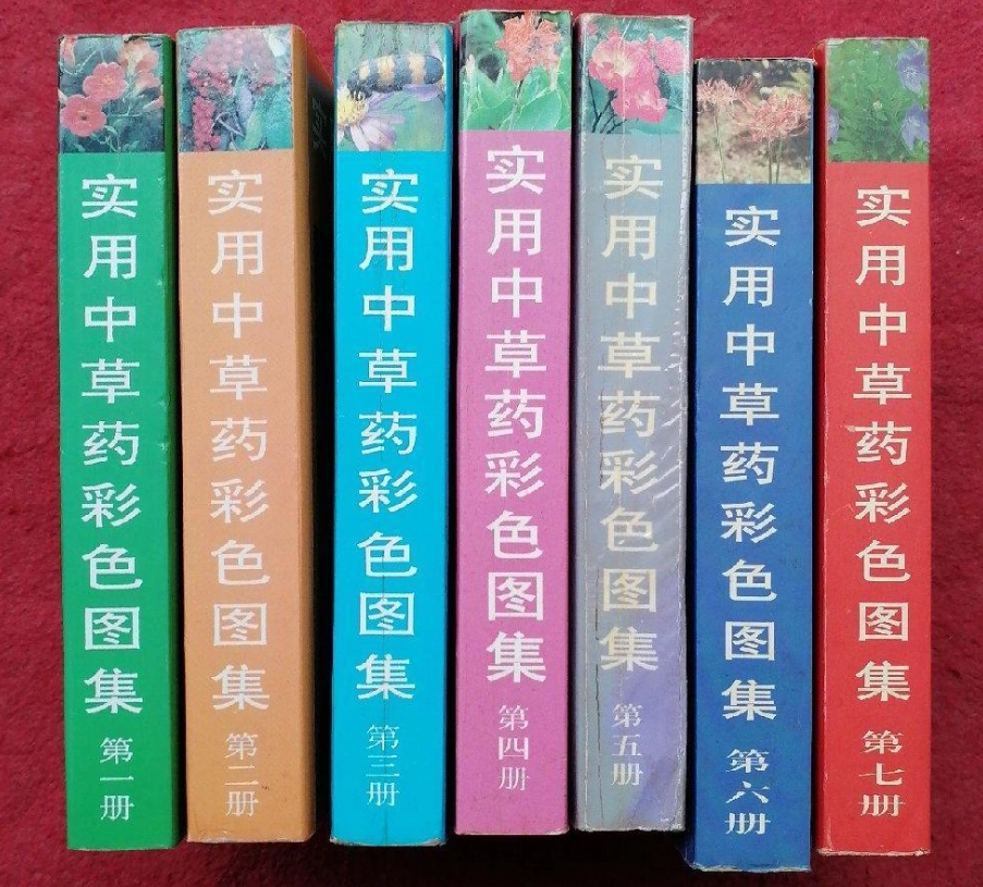 中華字海 中华字海 1994年 カバー付き 中華字海 | 刘 玉刚 |本 | 通販