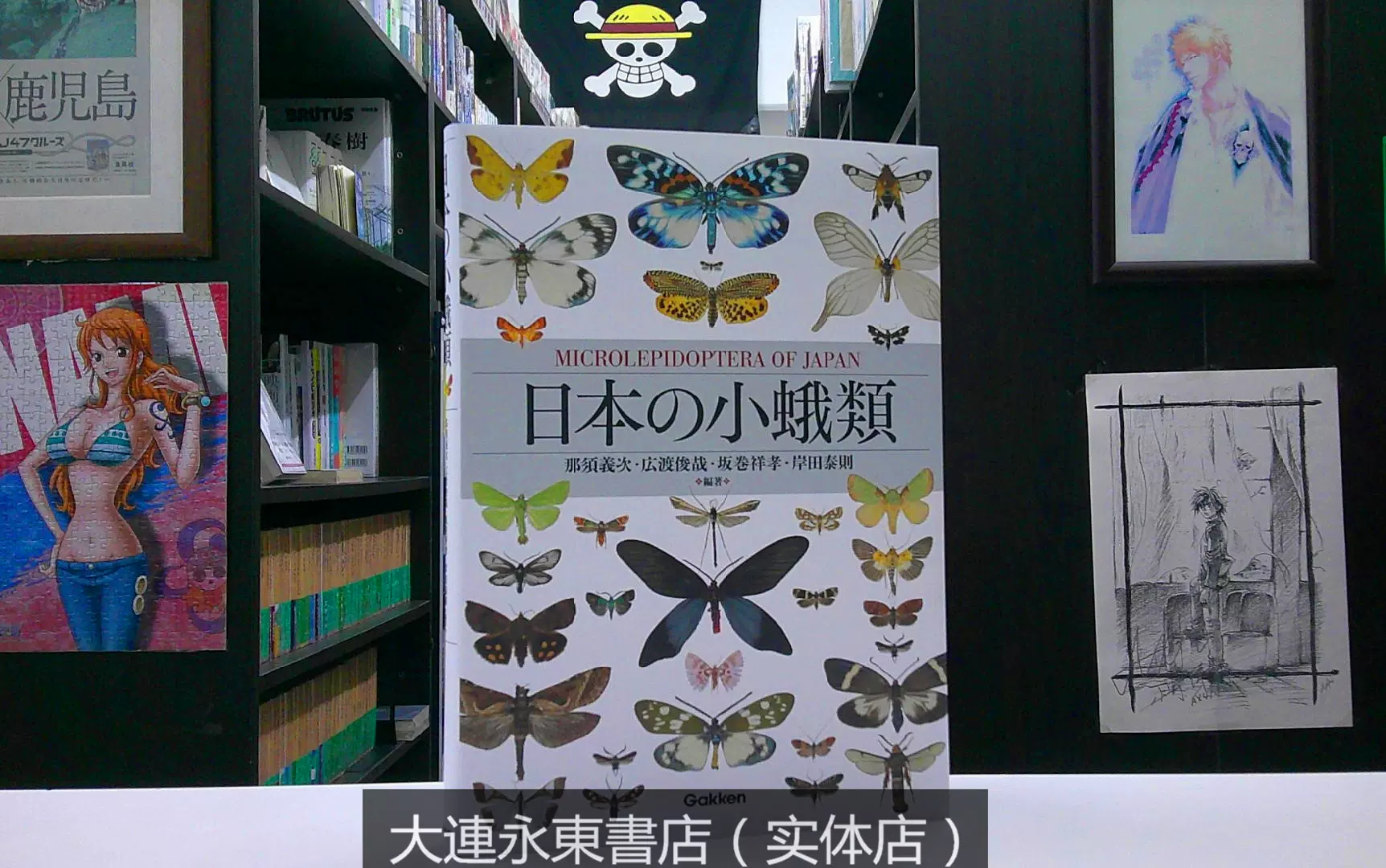 ゲリラ出品【美品】日本産蛾類大図鑑 ２巻セット 日本産蛾類大図鑑 【公式通販】