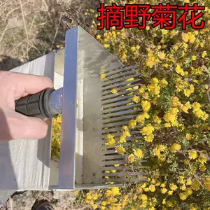 采摘神器菊花- Top 100件采摘神器菊花- 2024年3月更新- Taobao