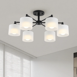 Modern Minimalist Ceiling Chandelier for Living Room, Nordic Black and White Metal Lamp Body, Bedroom and Dining Room Multi-Head Lighting Fixture, 2026 New Model