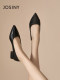 ZhuoSini French single shoes for women 2025 early spring new thick heel women's shoes British style flat shoes women's low heel high heels