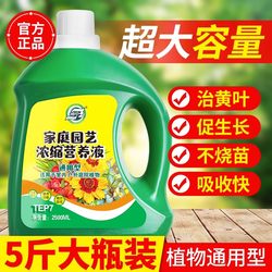 Nutrient solution plant general fertilizer