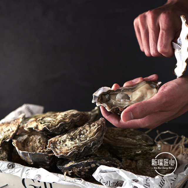 French air freight original fresh oysters Ginado N0 12 wooden boxes Extra large sashimi Oyster knife
