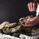 French air freight original fresh oysters Ginado N0 12 wooden boxes Extra large sashimi Oyster knife