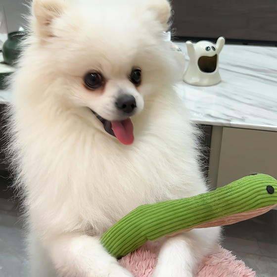 
Dog toy, head-shaking snake, grinding teeth to relieve boredom, making sounds, self-pleasure artifact, amusing cat, snake toy, small and medium-sized dog toy