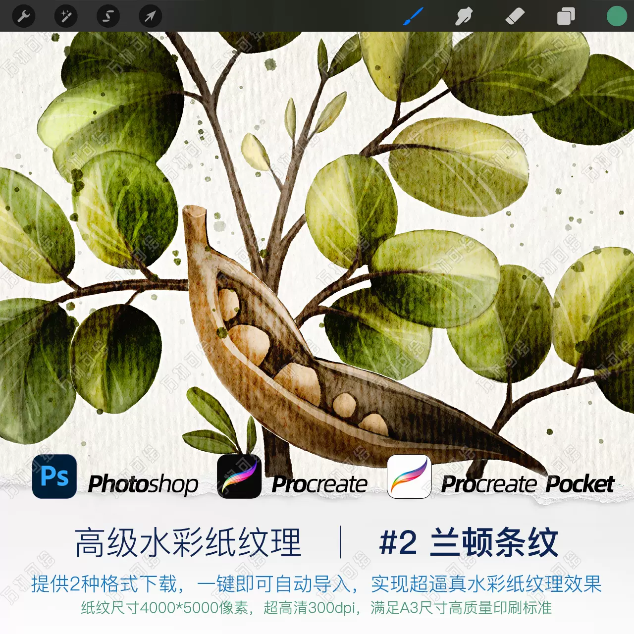 万物可绘 Ps Procreate Pocket 水彩纸纹理 2 兰顿条纹 万物可绘 Ps Procreate Pocket 水彩纸纹理 2 兰顿条纹