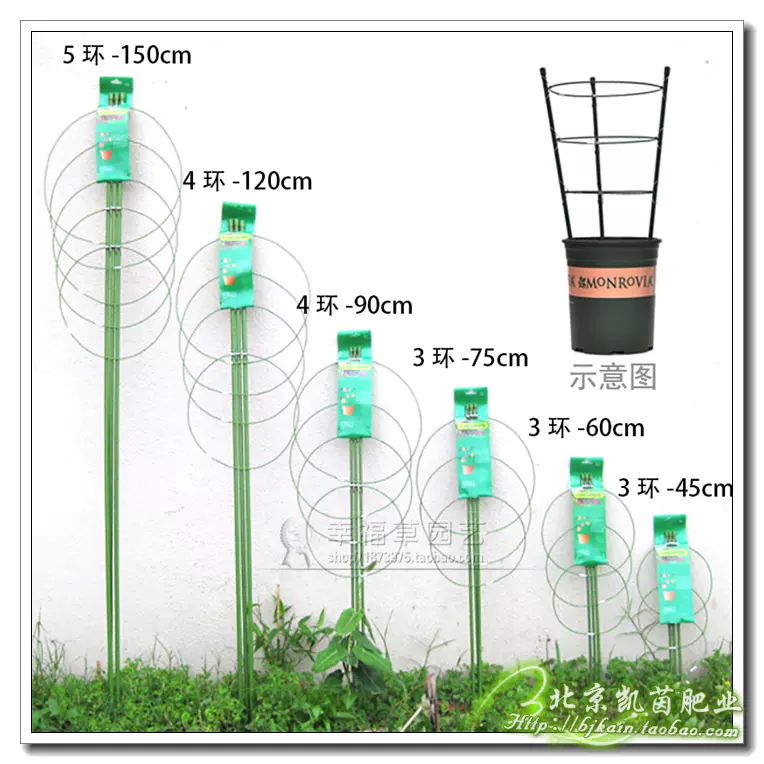 包邮 花支柱园艺支架铁环花支架爬藤攀援藤蔓植物番茄