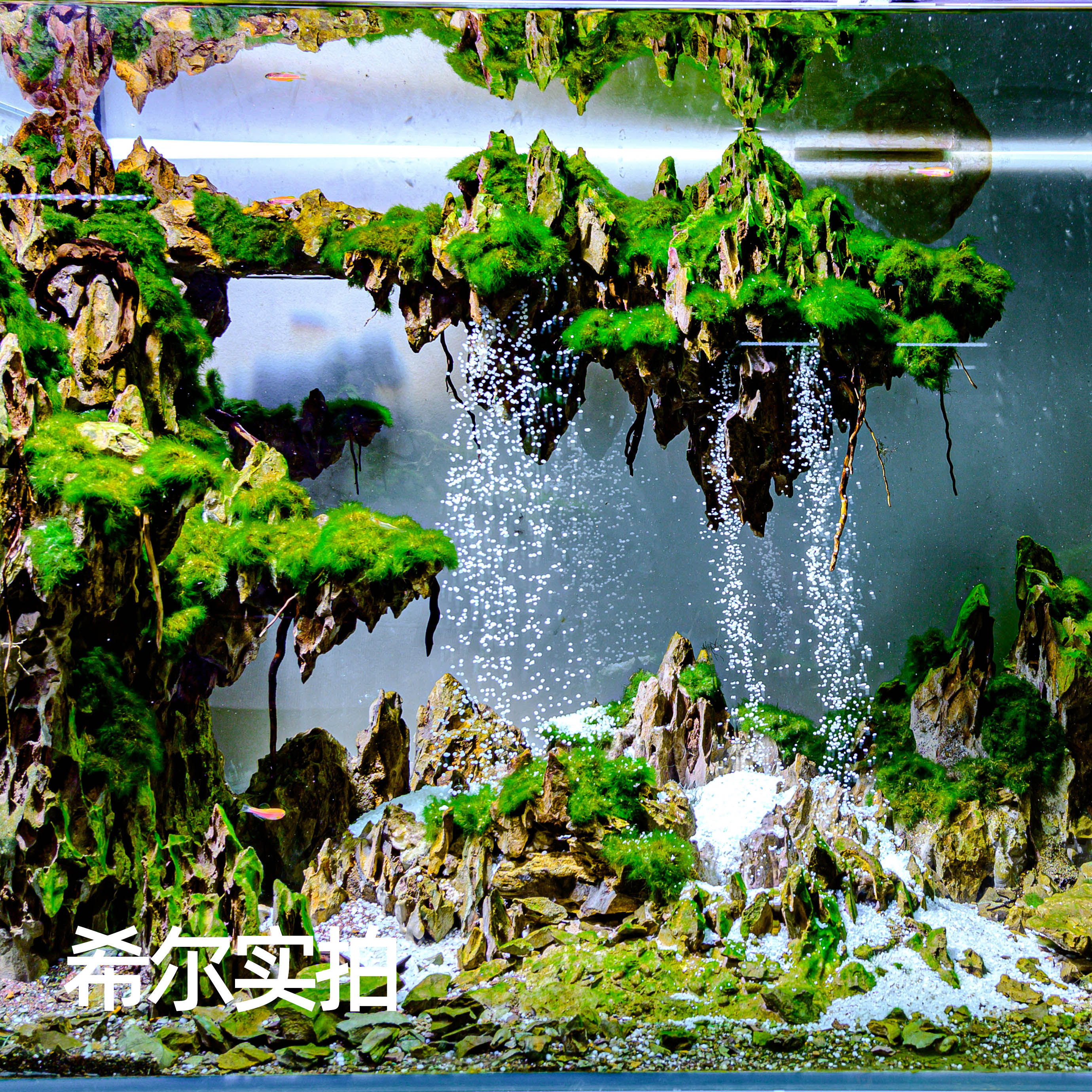 流沙瀑布专用白玉沙不混水免清洗水族鱼缸造景底沙化妆沙天然白沙