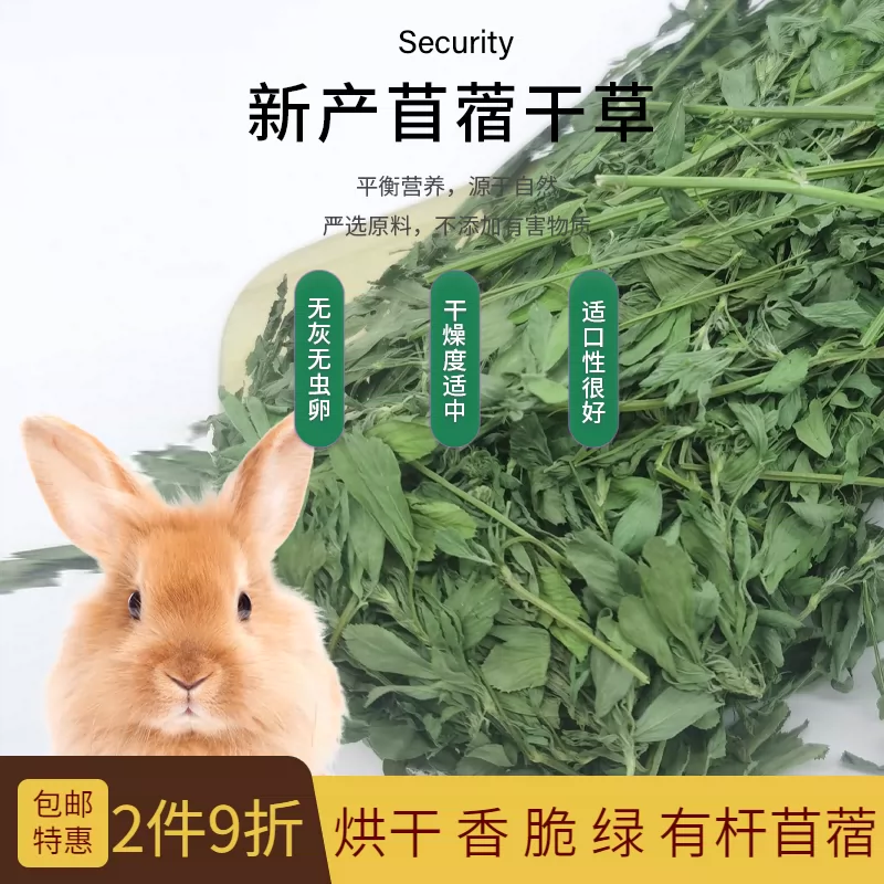 22年新草紫花苜蓿草幼兔兔子草龙猫荷兰猪牧草