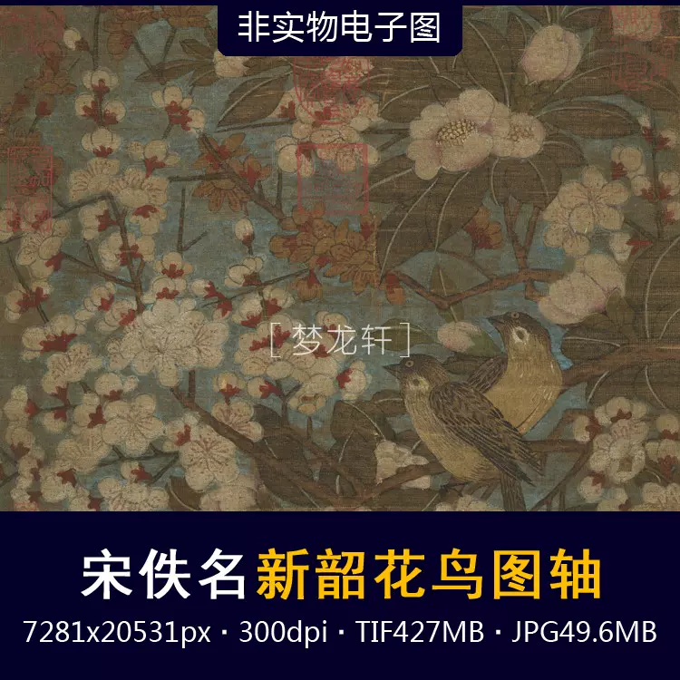 宋佚名新韶花鳥圖軸宋代國畫設色工筆花鳥畫非實物高清電子圖-Taobao 