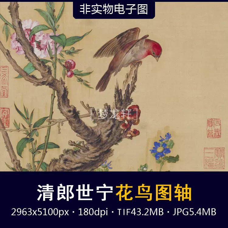 郎世宁花鸟图轴清代名画院体派工笔花鸟画国画电子图素材-Taobao