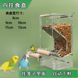 Built-In Food Box Automatic Feeder for Birds, Monk Cockatiel and Lovebird Feeder, Built-In Parrot Food Box