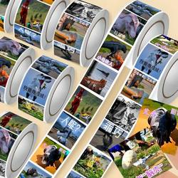 2000 Popular Dragon Island Monster-Themed Stickers, Popular Game Merchandise, Streamer Ale's Personalized Decorative Stickers