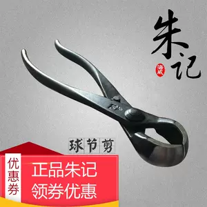 昌国No.108 豆針金切盆栽 昌国No.108 豆針金切盆栽