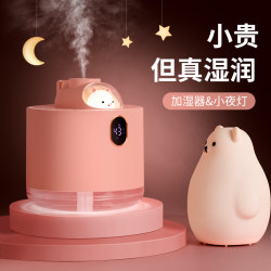 Humidifier for Small Offices, Desktops, Student Dorms, Air Purifier, Night Light, Cute and Stylish, Aromatherapy, Home Bedroom, Silent, Girls' Birthday Gift, Best Friend, Mini Rechargeable Model, 2025 New Model