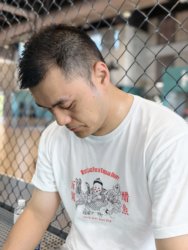 Original Chinese Retro Style Hangzhou West Lake Vinegar Fish Travel Pure Cotton Unisex T-Shirt Travel Short-Sleeve Crew Neck Cultural Shirt