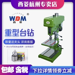 Zhejiang Xiling Industrial Heavy Duty High Precision High Power Desktop Drilling Machine Z512 Z516 Z4120 16 Z4125