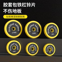 Iron-Coated Dumbbell Plates, Small Hole Plates, Special Clearance Sale, Rubber-Coated, Eco-Friendly Barbell Plates, Home Fitness Squat Barbell Weight Plates