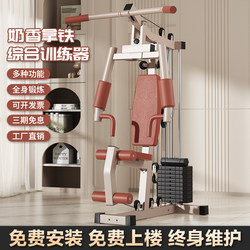 Fitness Equipment, Home Multifunctional All-In-One Strength Training Device, Gym Comprehensive Training Special Strength Station Equipment