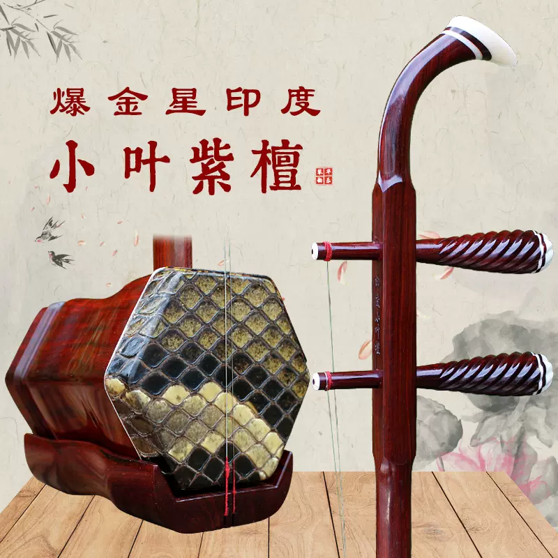 蘇州二胡初學入門六方蟒皮附台灣製琴袋- 音樂城市樂器