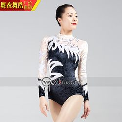 Dance Clothes, Cool Aerobics Suits, Competitive Gymnastics Suits, Skills Assessment, Art Exams, Children's Training, Professional Women's Competition Performances