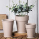 Clay international thin edges, thin and round mocha flower pot, qinye leaf, banyan green ivy succulent high and low pot with tray