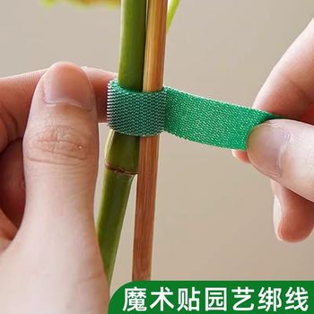 Green plant strap velvet stickers