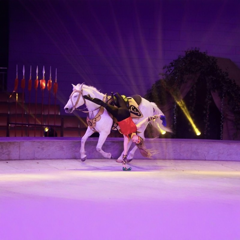 【畅游】厦门溪理咖啡海景Villa(环岛路店)树影-投影大床房2天1晚+灵玲国际马戏城