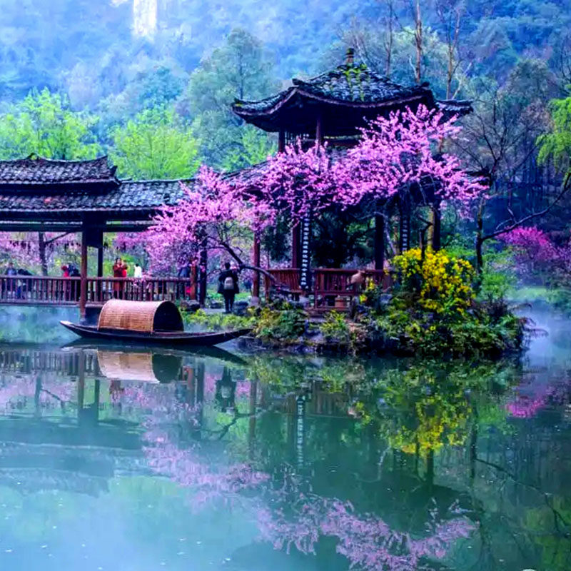 私家团重庆包车旅游3天2晚武隆天坑地缝酉阳桃花源龚滩古镇渝东南