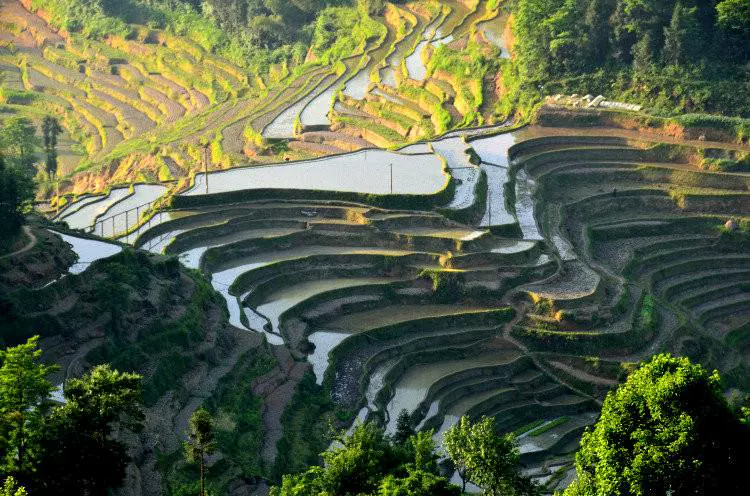 长石梯田图片