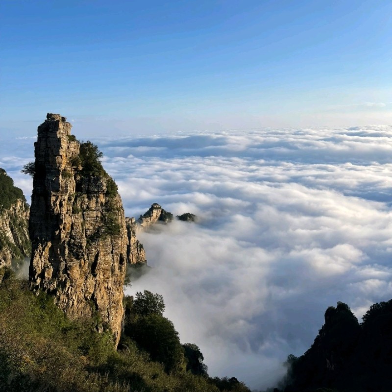 【2人】石家庄动物园+漫山花溪谷+河北保定白石山景区++精品酒店自由行