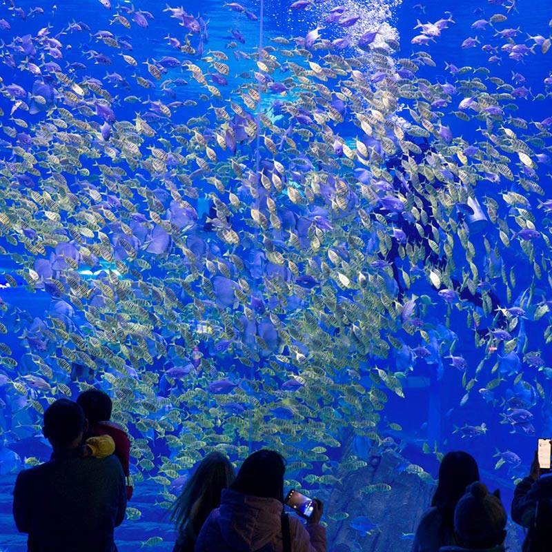 周末不加价!重庆融创施柏阁/永乐半山酒店含早+2人/3人海世界或渝乐小镇/热雪奇迹