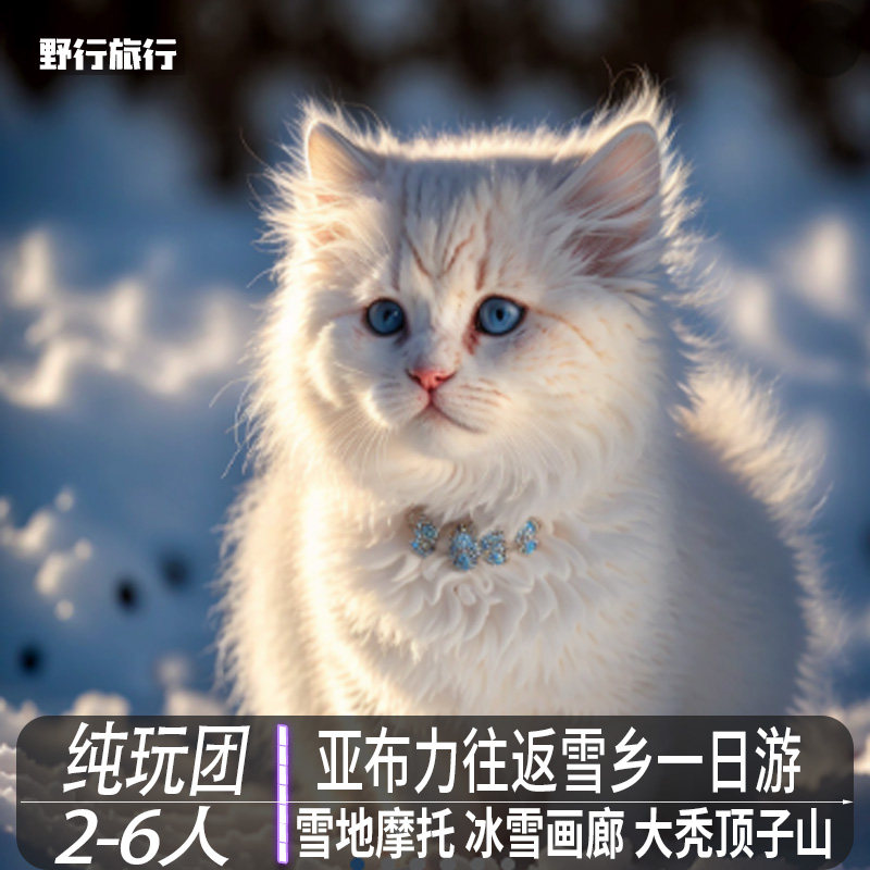 哈尔滨雪乡一日游高铁纯玩跟团游亚布力雪乡1日游往返6人纯玩小团 - 定制游预订