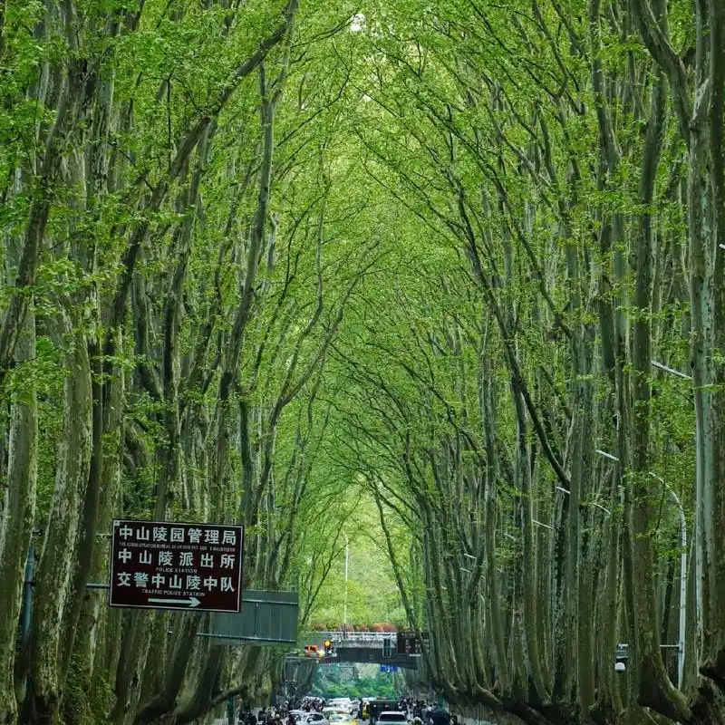 南京夫子庙景区漫心酒店住宿+红山动物园+夫子庙成人门票
