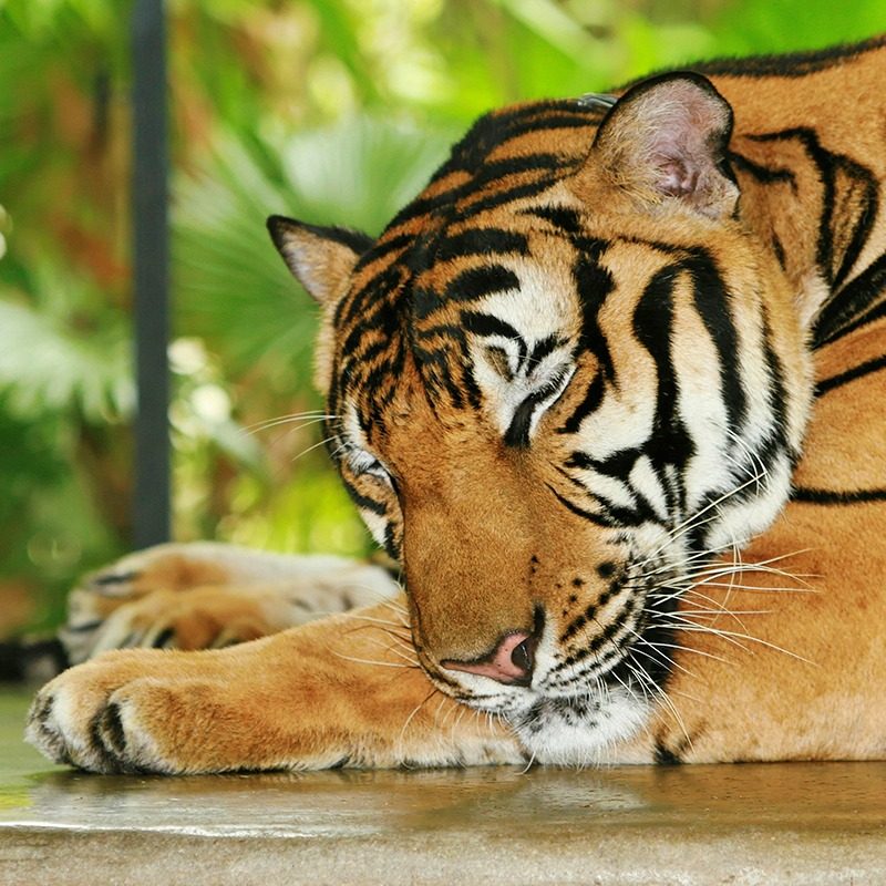 北京4天3晚观悦行政公寓北京动物园北京海洋馆