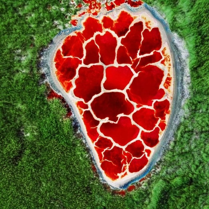 1日游腾格里沙漠五湖穿越乌兰湖+天鹅湖+骆驼湖+海骝骐湖+吉他湖 - 定制游预订