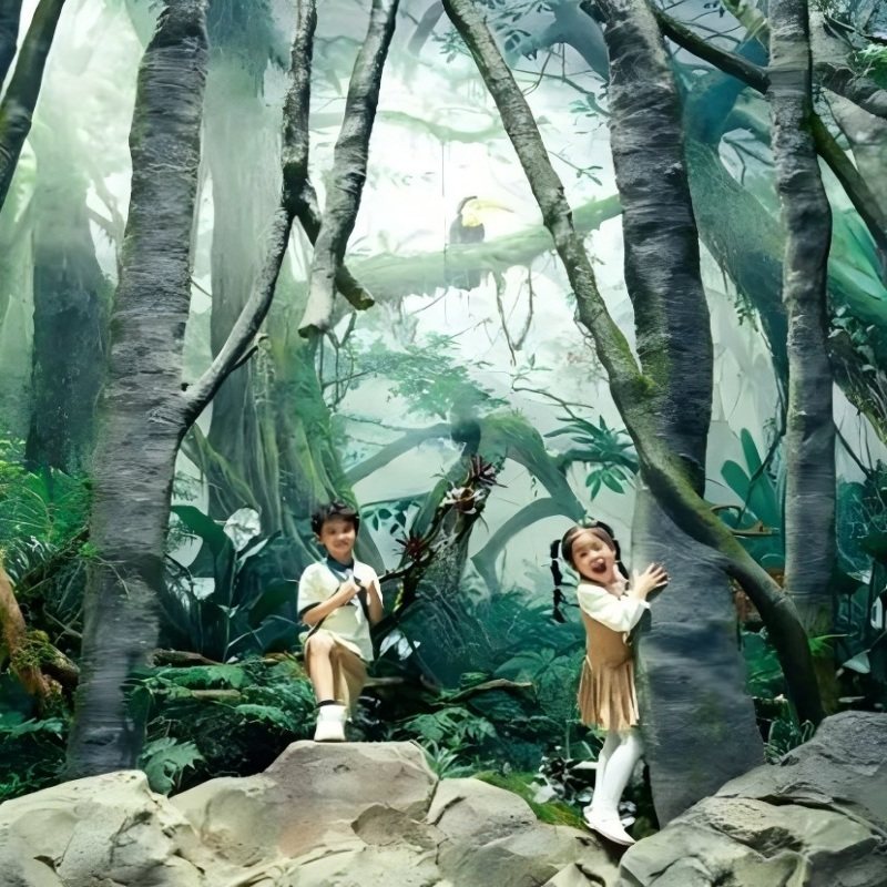 3天2晚舟山长乔鹈鹕度假酒店含早|海洋公园+雨林动物+鲨鱼湾浴场三园不限次畅玩